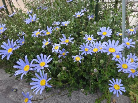 H240403b09 H240403b09