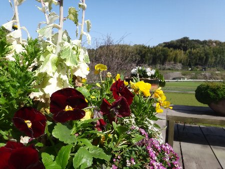 H240410b1_2 H240410b1_2