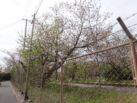 H240410b2_2 H240410b2_2