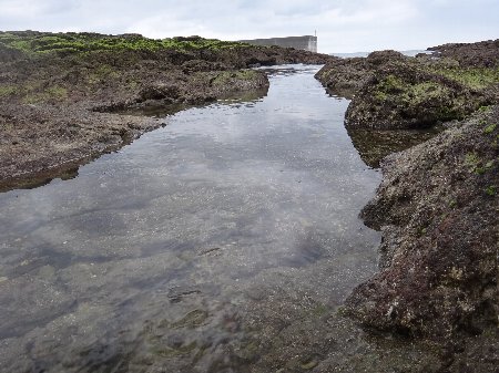 H240605b9_2 H240605b9_2