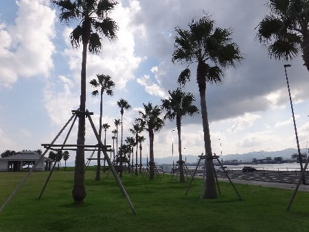 H240913b4_2 H240913b4_2