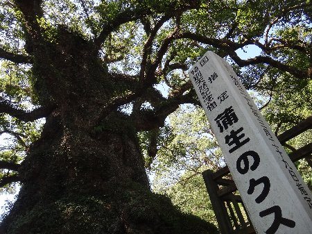 H241014b09 H241014b09