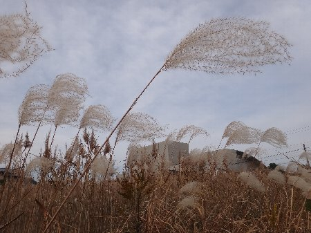 H241202b27 H241202b27