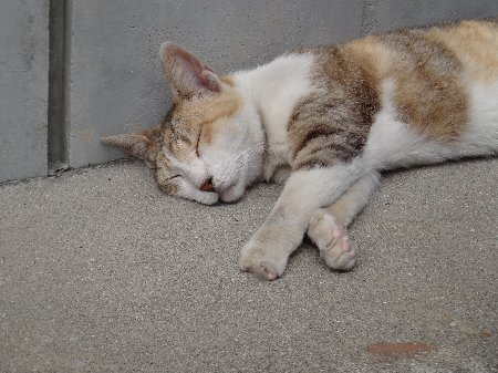 H250612b5a H250612b5a