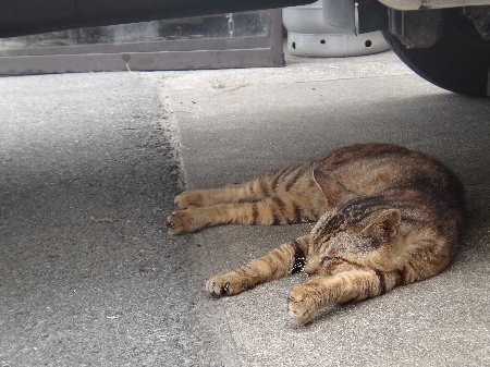 H250612b5b H250612b5b