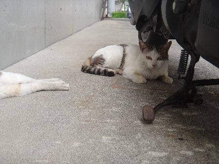 H250612b6a H250612b6a