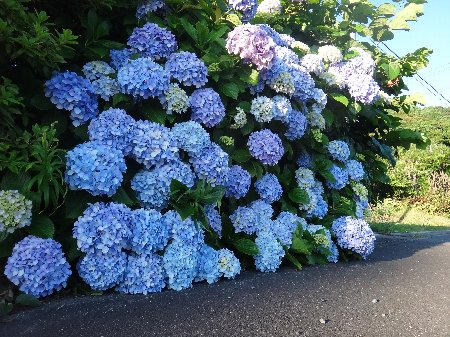 H250613b1a H250613b1a