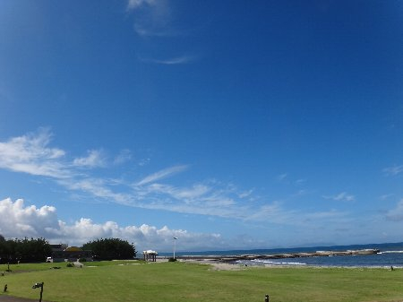 H250709b1a H250709b1a