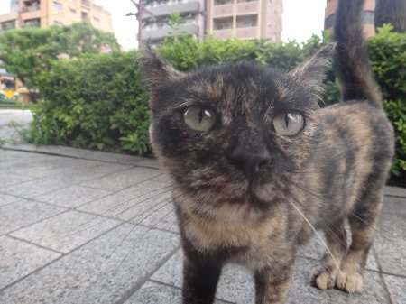 H250807b01 H250807b01