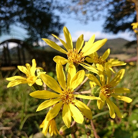 20141202b3a 20141202b3a